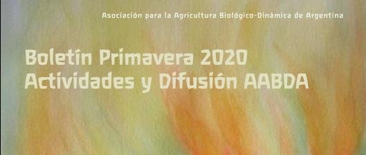 Boletín Primavera 2020 de Actividades y difusión de AABDA